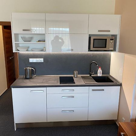 Apartmány wellness Frymburk Kültér fotó