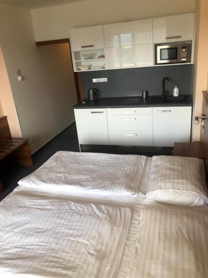 Apartmány wellness Frymburk Kültér fotó